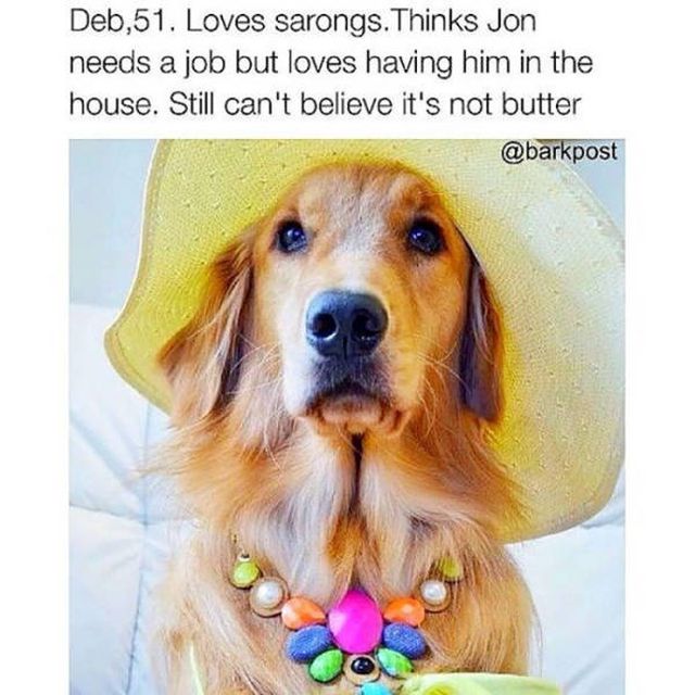 Dogs With Bios Is Just A Perfect Combination (40 pics)