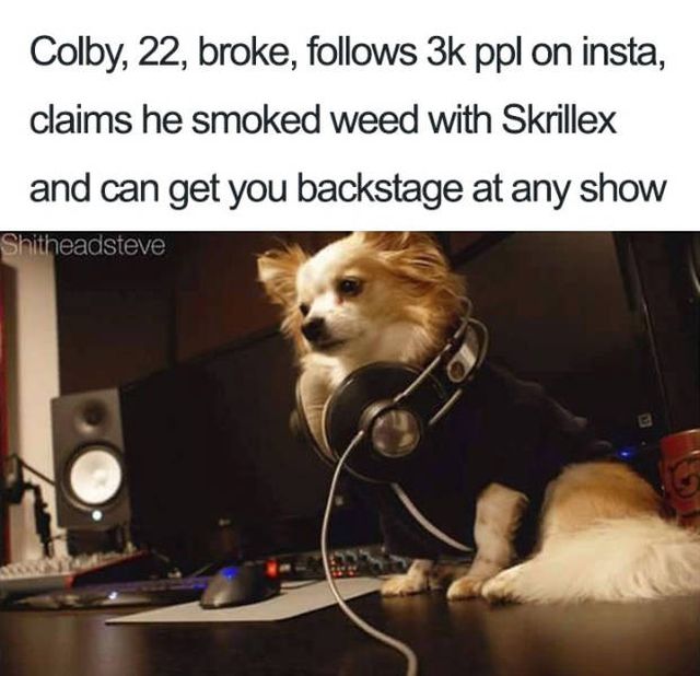 Dogs With Bios Is Just A Perfect Combination (40 pics)