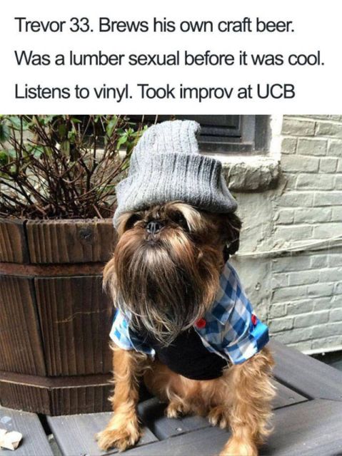 Dogs With Bios Is Just A Perfect Combination (40 pics)