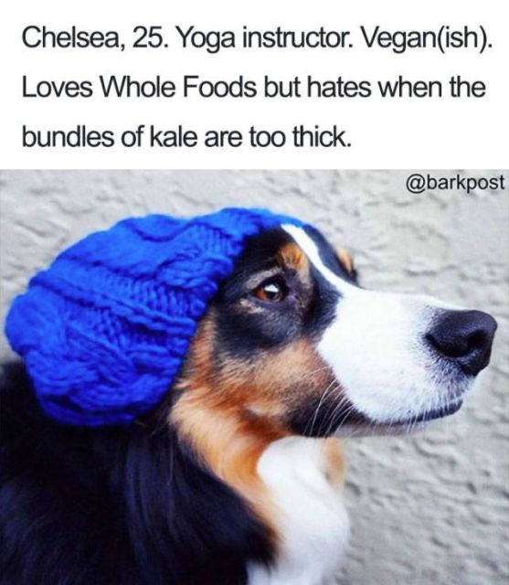 Dogs With Bios Is Just A Perfect Combination (40 pics)