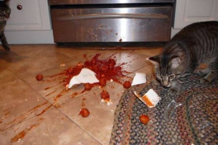 Oh Boy This Sh#t Is Getting Crazy (37 pics)