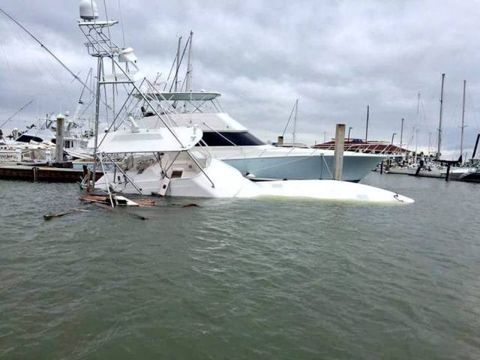 Oh Boy This Sh#t Is Getting Crazy (37 pics)