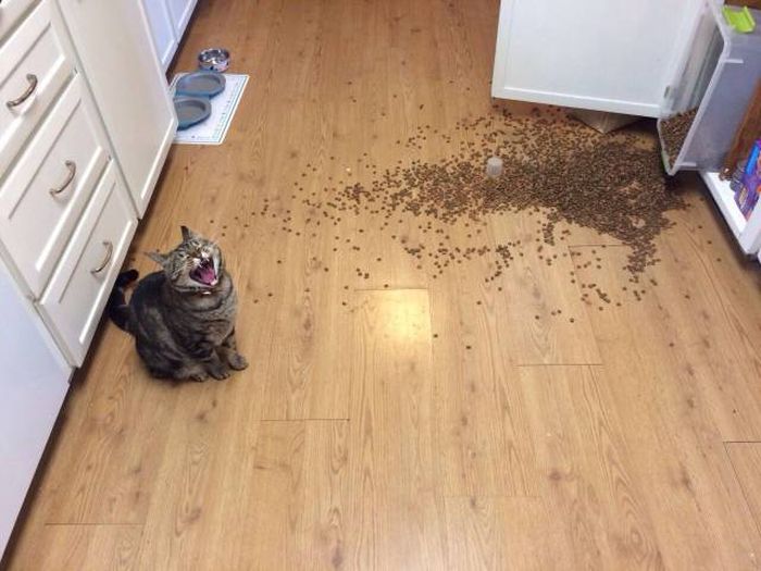 Oh Boy This Sh#t Is Getting Crazy (37 pics)