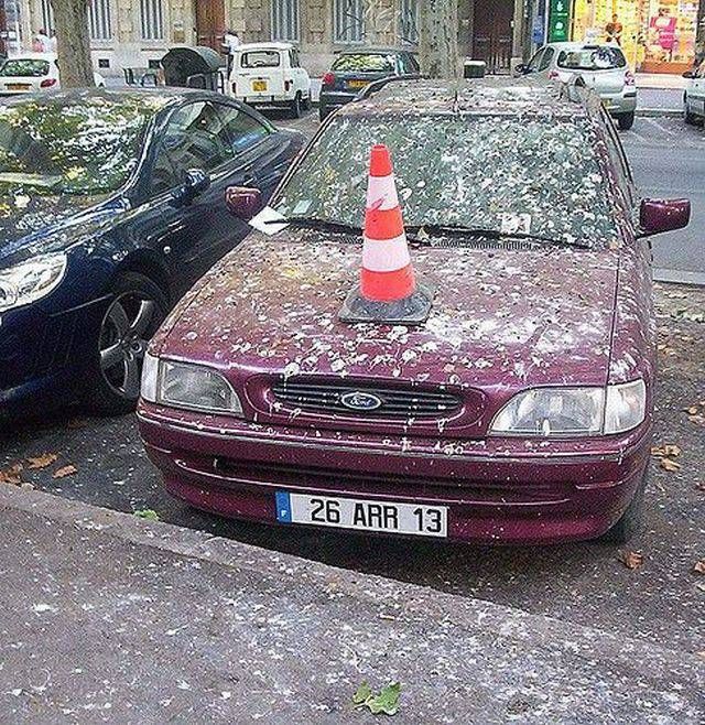 Oh Boy This Sh#t Is Getting Crazy (37 pics)