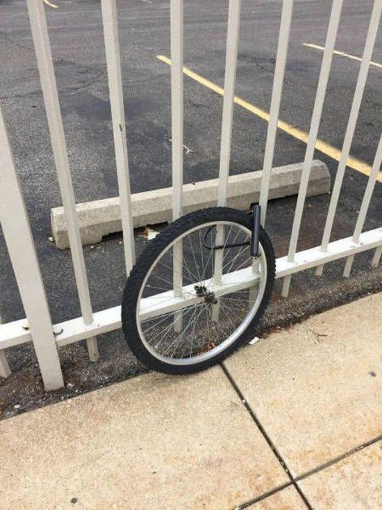 Oh Boy This Sh#t Is Getting Crazy (37 pics)