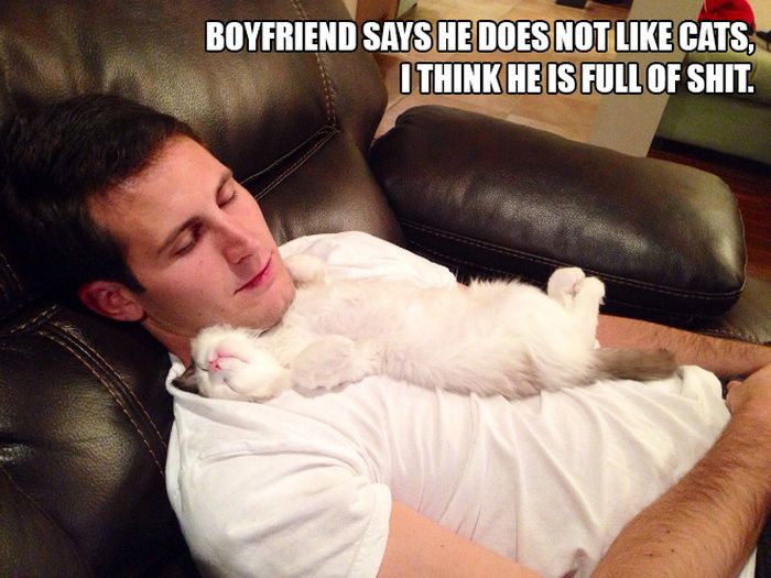 People Who Said They Didn’t Want The Damn Cats (12 pics)
