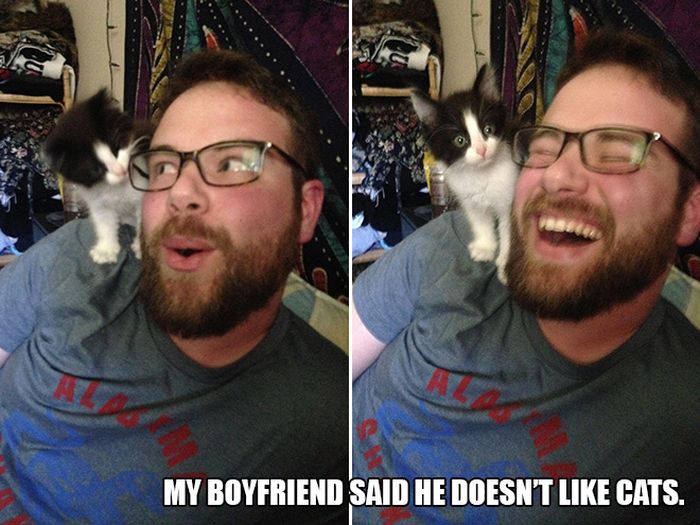 People Who Said They Didn’t Want The Damn Cats (12 pics)