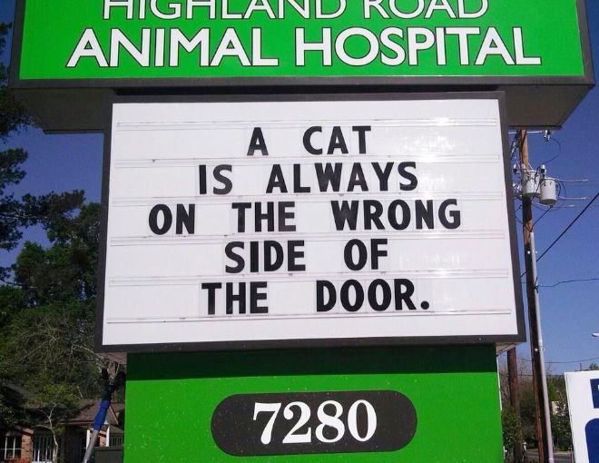 Brilliant Vet Signs (16 pics)