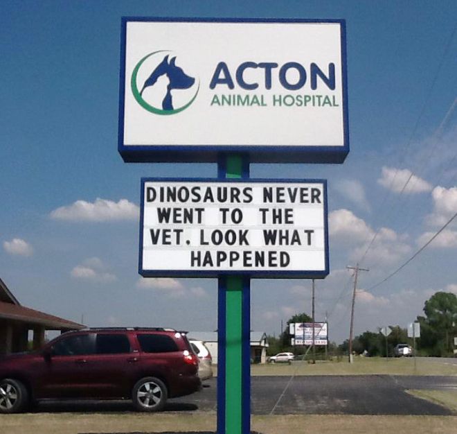 Brilliant Vet Signs (16 pics)
