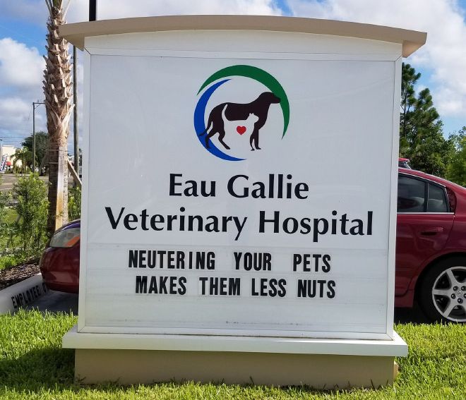 Brilliant Vet Signs (16 pics)