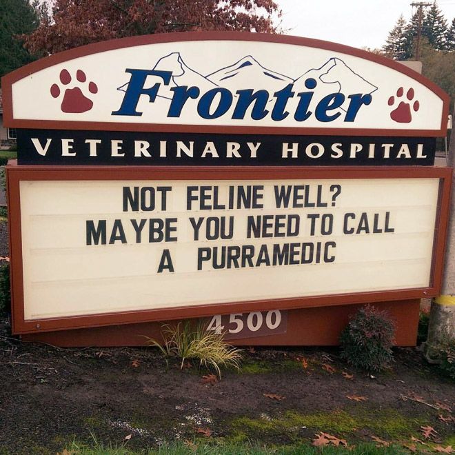 Brilliant Vet Signs (16 pics)