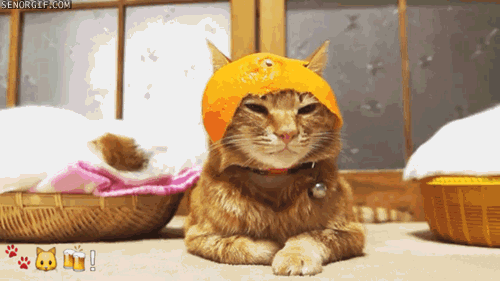 Acid Gifdump, September 08, 2017 (25 gifs)