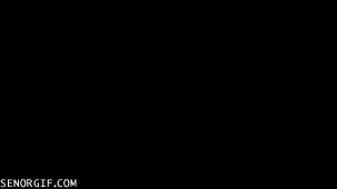 Acid Gifdump, September 08, 2017 (25 gifs)