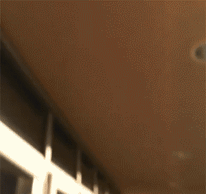 Acid Gifdump, September 08, 2017 (25 gifs)