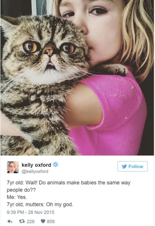 Funny Kid Situations (17 pics)