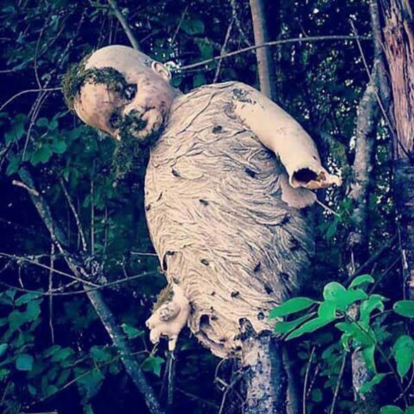 Nature Has A Lot Of Horrifying Stuff To Offer Us (31 pics)