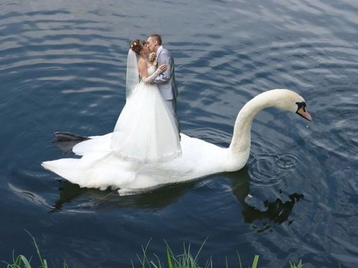 Awfully Photoshopped Russian Wedding Pictures (21 pics)