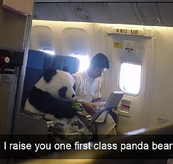 Weird Things Seen On Planes (20 pics)