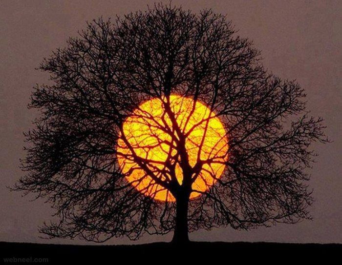 Acid Picdump (97 pics)