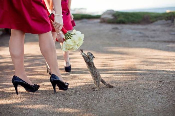 Acid Picdump (97 pics)