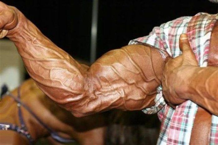 Acid Picdump (97 pics)