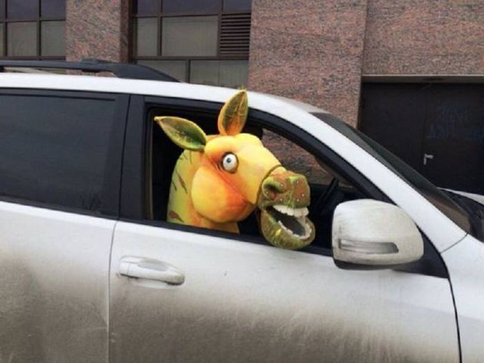 Acid Picdump (97 pics)