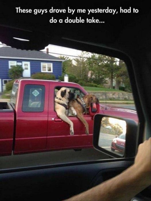 Acid Picdump (97 pics)