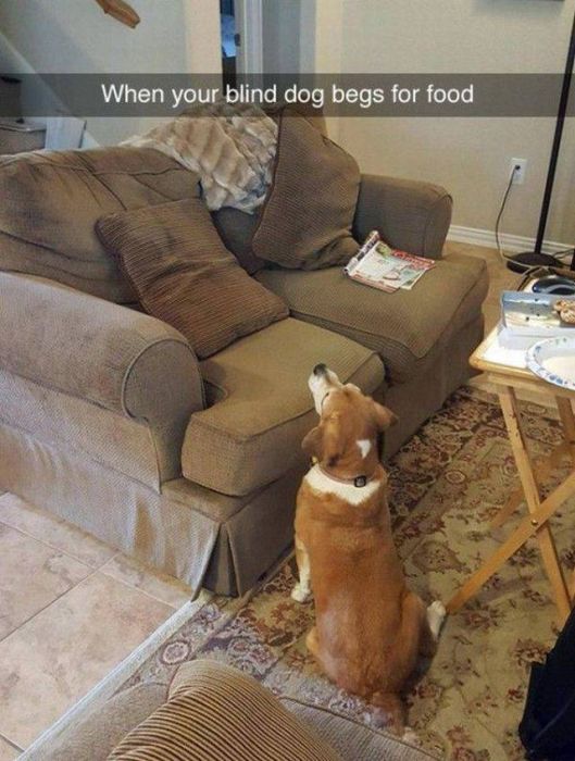 Acid Picdump (97 pics)