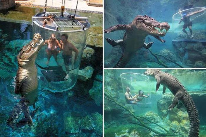 Acid Picdump (97 pics)
