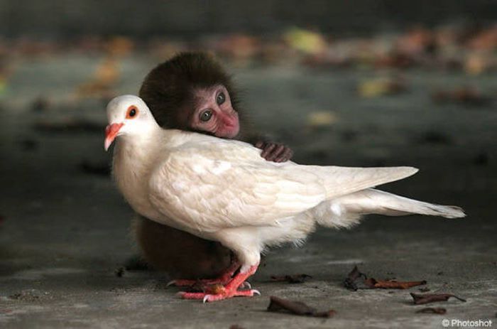 Acid Picdump (97 pics)