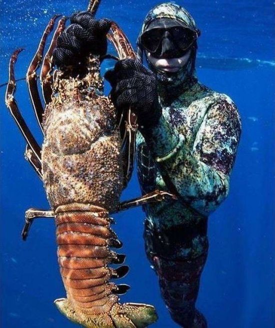 Acid Picdump (97 pics)