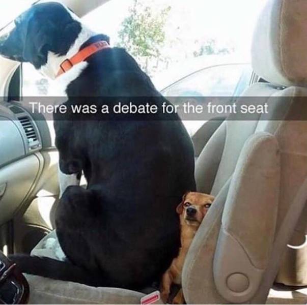 Acid Picdump (97 pics)