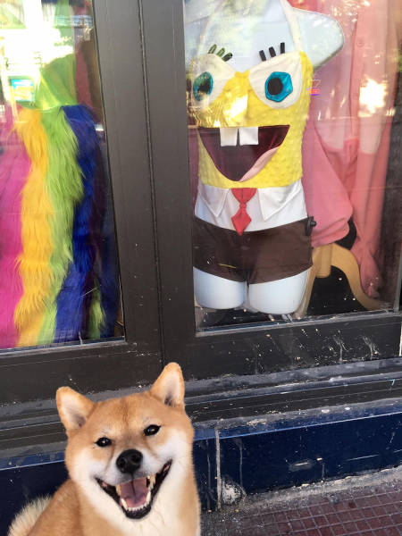 Acid Picdump (97 pics)