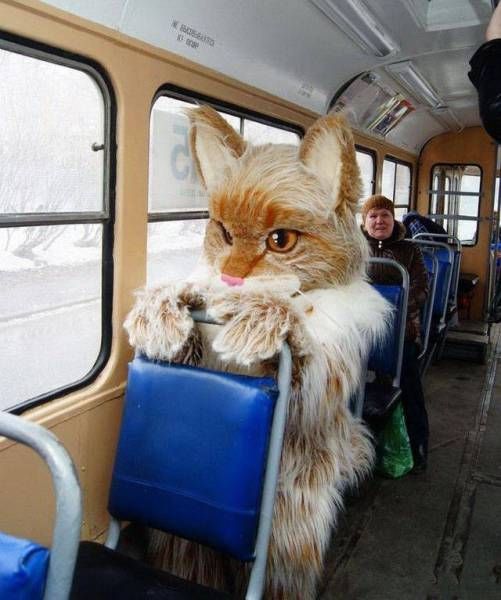 Funny Photos From Russia (39 pics)