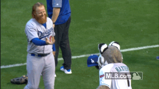 You Just Weren’t Quick Enough (14 gifs)
