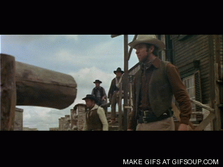 You Just Weren’t Quick Enough (14 gifs)