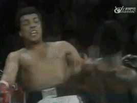 You Just Weren’t Quick Enough (14 gifs)
