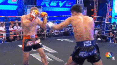 You Just Weren’t Quick Enough (14 gifs)