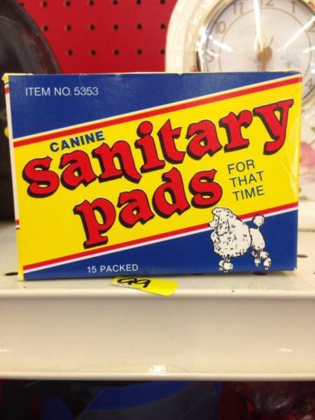 Thrift Shops Are Endless Sources Of Bizarre Things (30 pics)