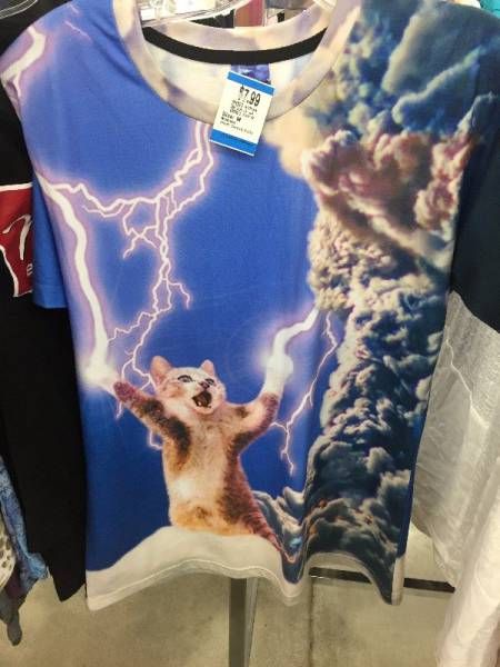 Thrift Shops Are Endless Sources Of Bizarre Things (30 pics)