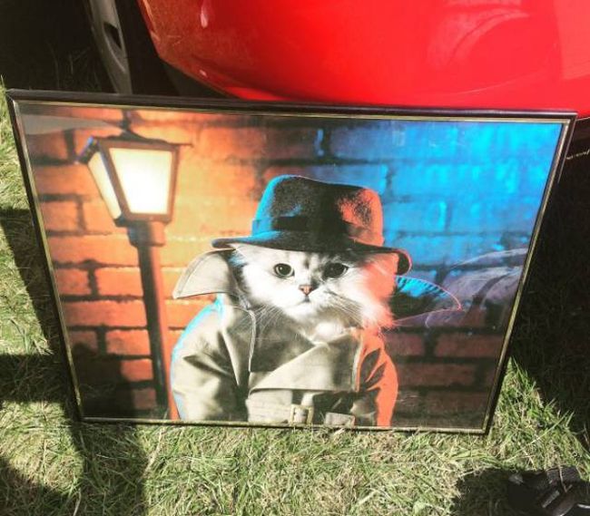 Thrift Shops Are Endless Sources Of Bizarre Things (30 pics)