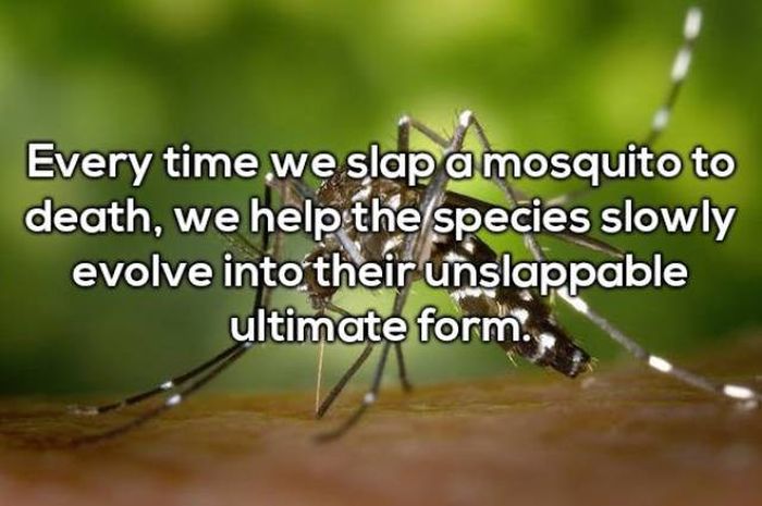 Shower Thoughts (29 pics)