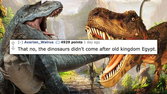 The Stupidest Things People Had To Explain To A Fully Grown Adult (15 pics)