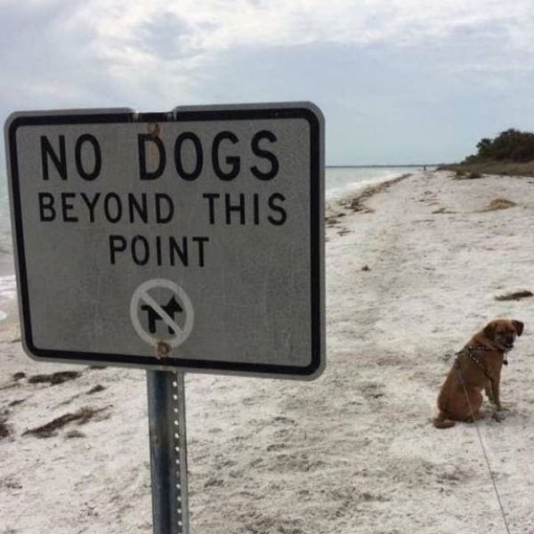 How Dare They Break The Rules?! (39 pics)