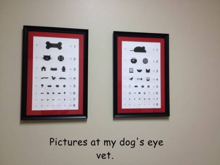 Office Fails And Memes (28 pics)