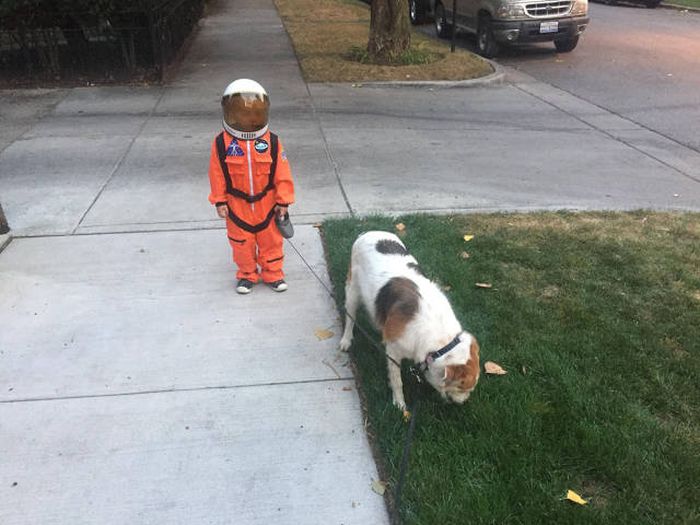 Acid Picdump (104 pics)