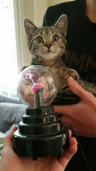 Acid Picdump (104 pics)