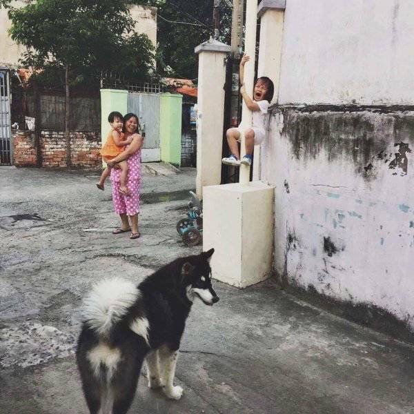 Acid Picdump (104 pics)