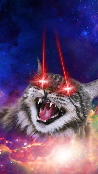 Acid Picdump (104 pics)