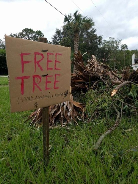 Florida Doesn’t Lose Their Sense Of Humor (22 pics)